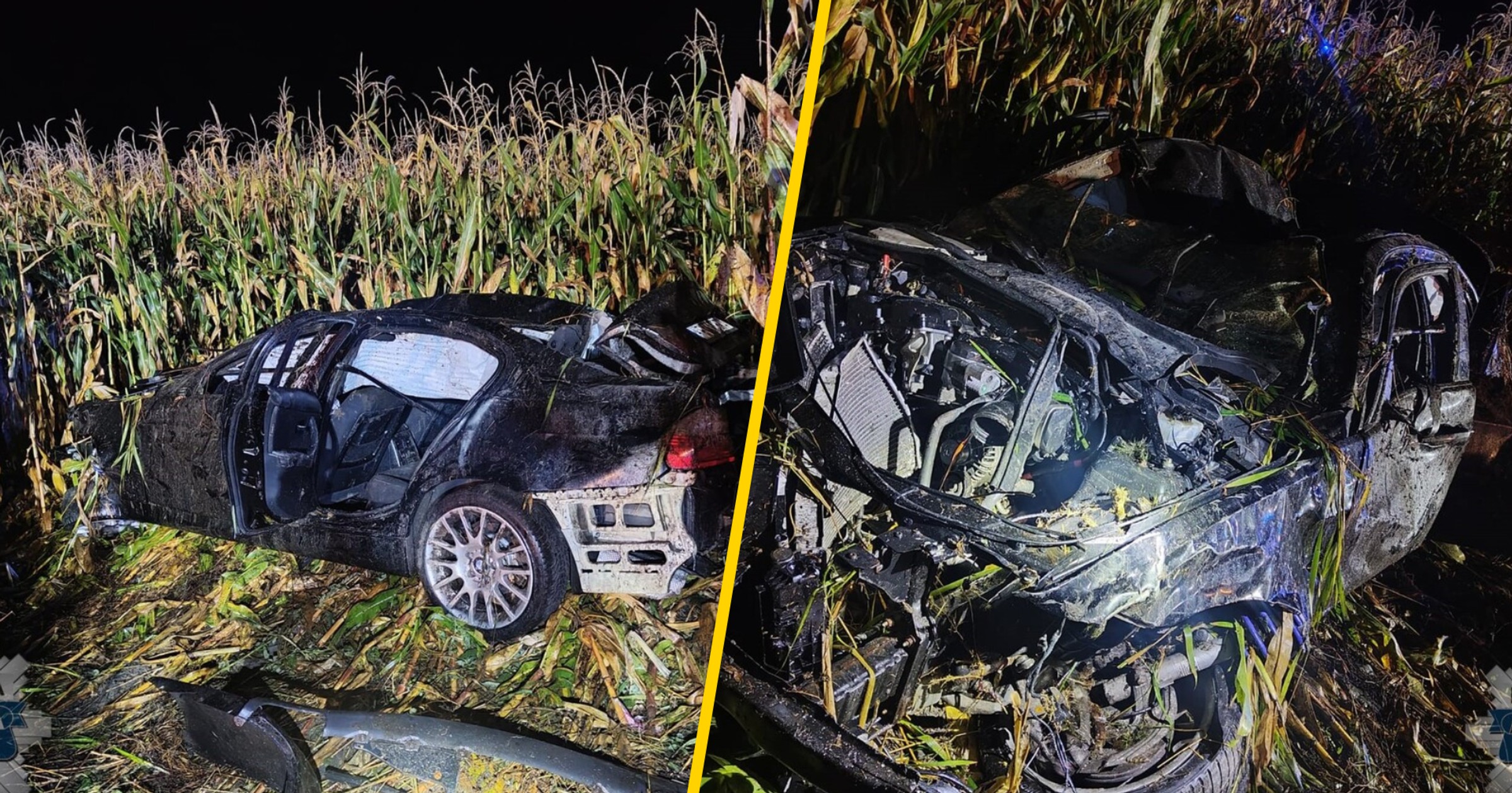 Zderzenie BMW z łosiem. Zginął 24-latek