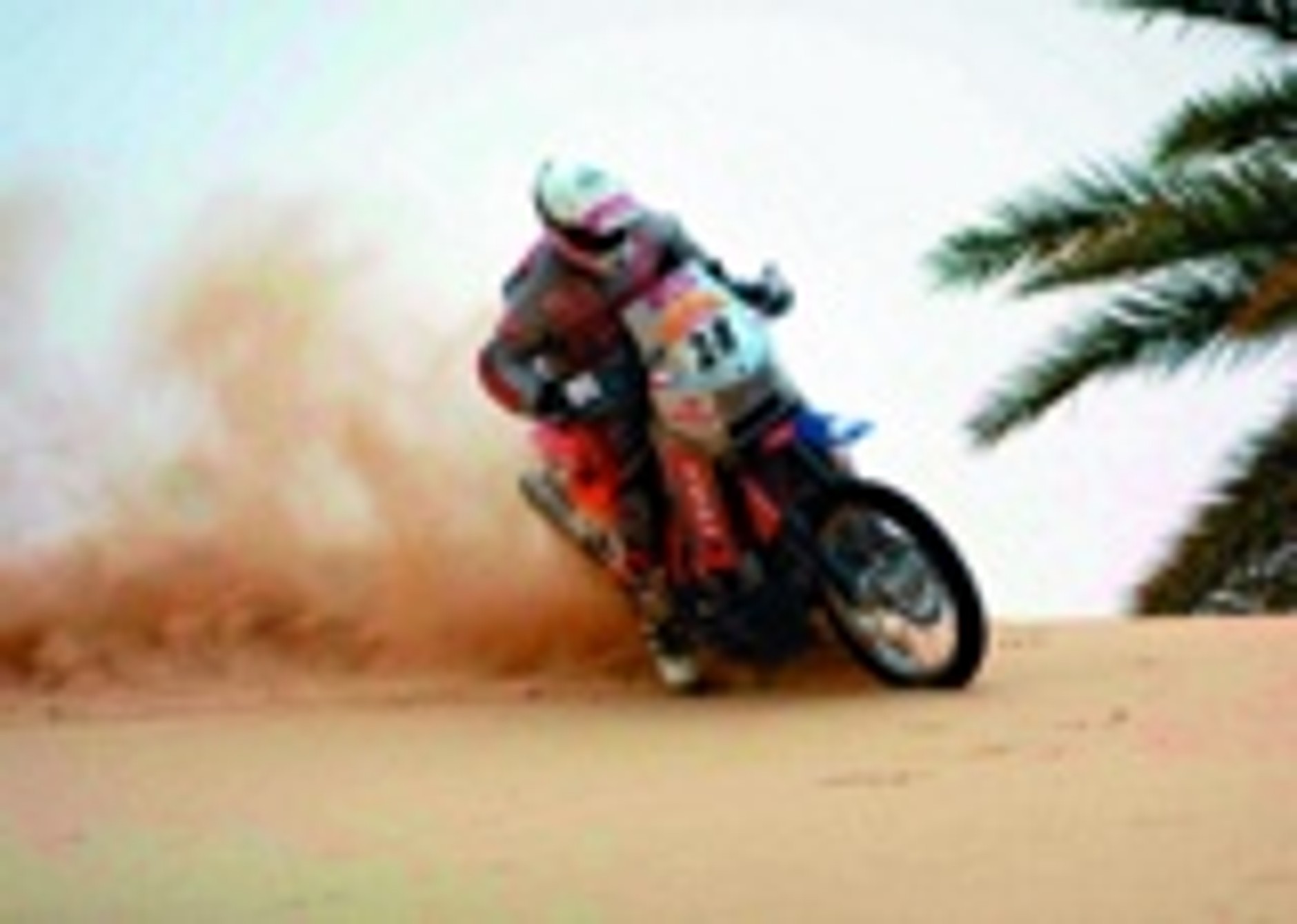 Zawodowcy i amatorzy