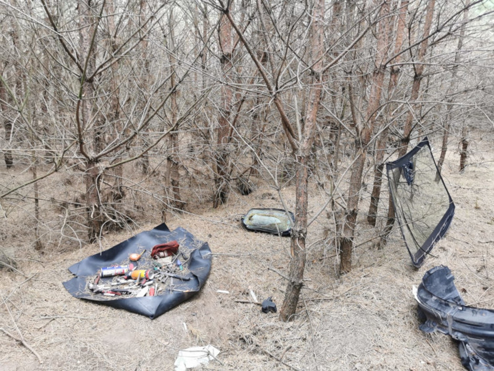 Dziupla samochodowa w środku lasu