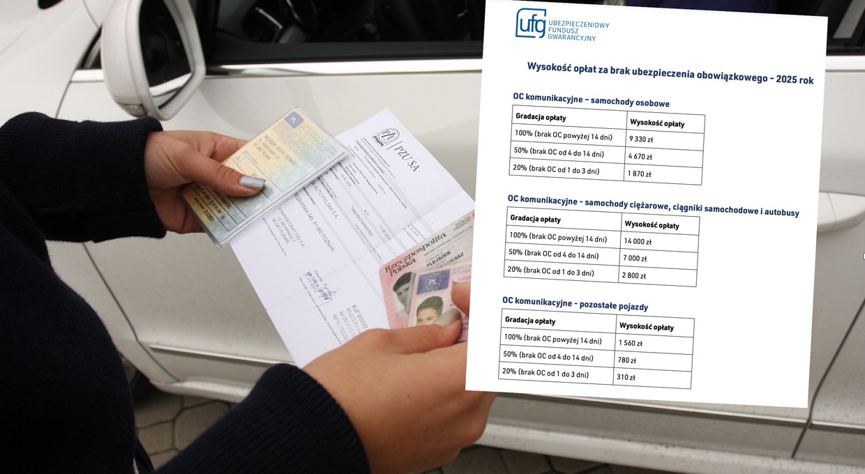 Setki tysięcy kar za brak OC. Skomplikowany system – czego się wystrzegać?
