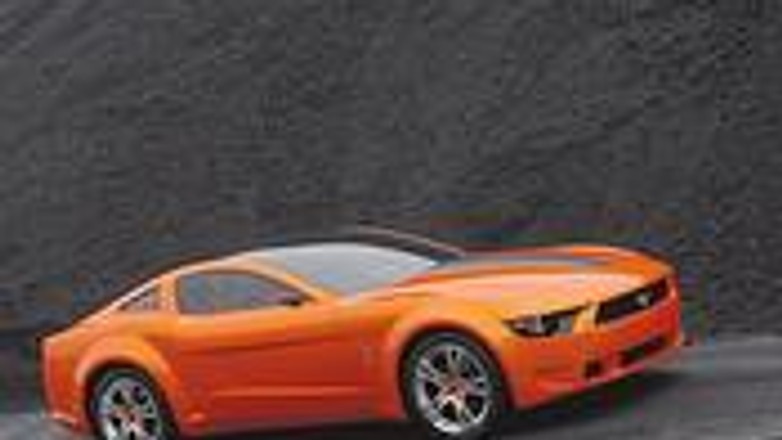 Amerykańsko-Włoski ogier