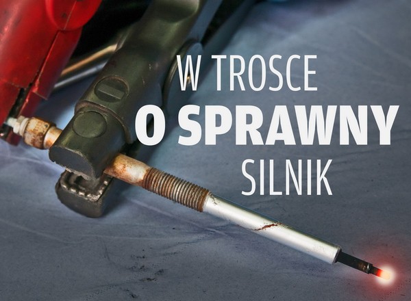Diesel przed zimą