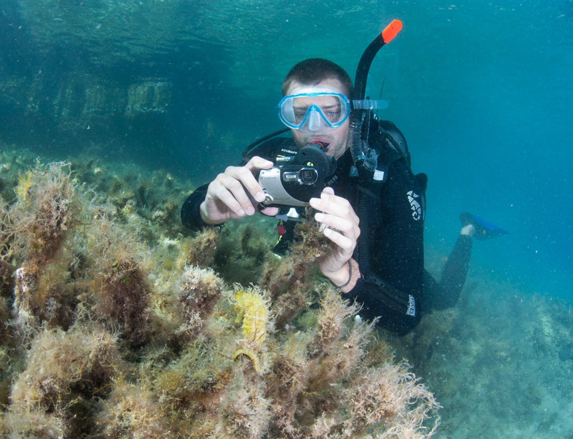 Nurkowanie: sport dla miłosników offroadu