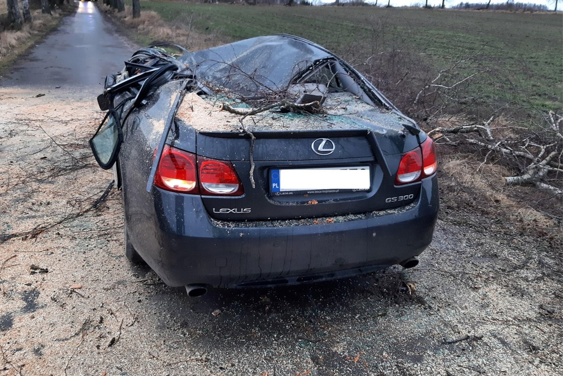 Lexus GS300 zdemolowany przez powalone drzewo. Skutki wichury w okolicach Kętrzyna