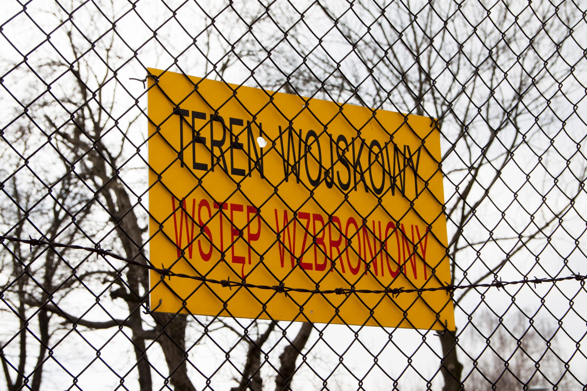 fot. Norbert Litwiński/Onet