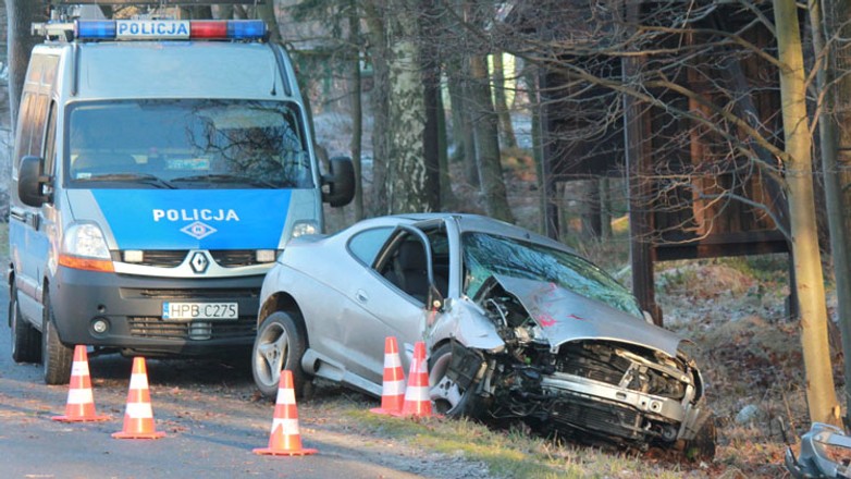 Wypadki z udziałem dzikich zwierząt - Zwierzę na drodze? Nie warto omijać!