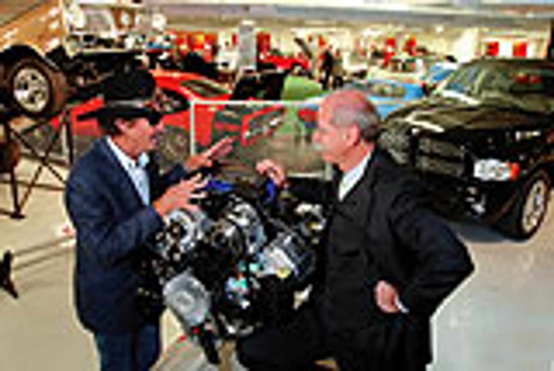 Ciągłość gatunku