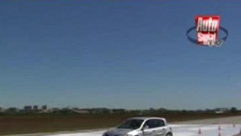 Uwaga, zwierzęta na drodze!