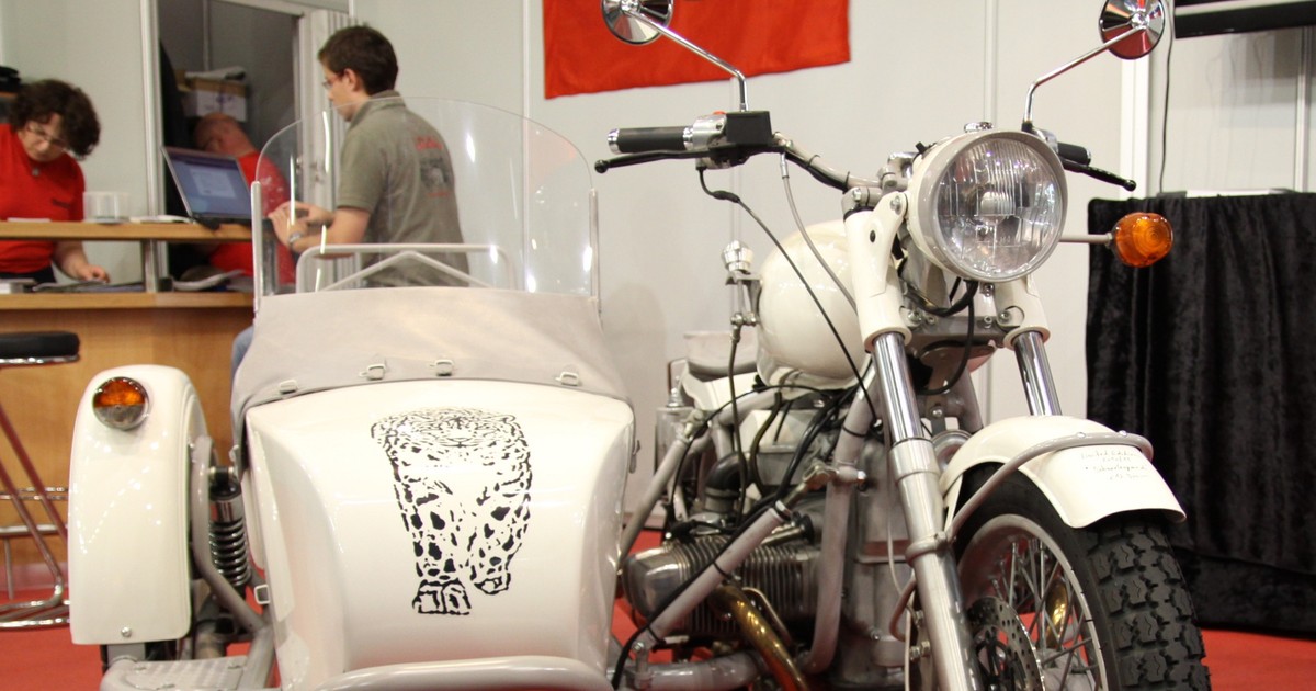 Ural Schneeleopard
