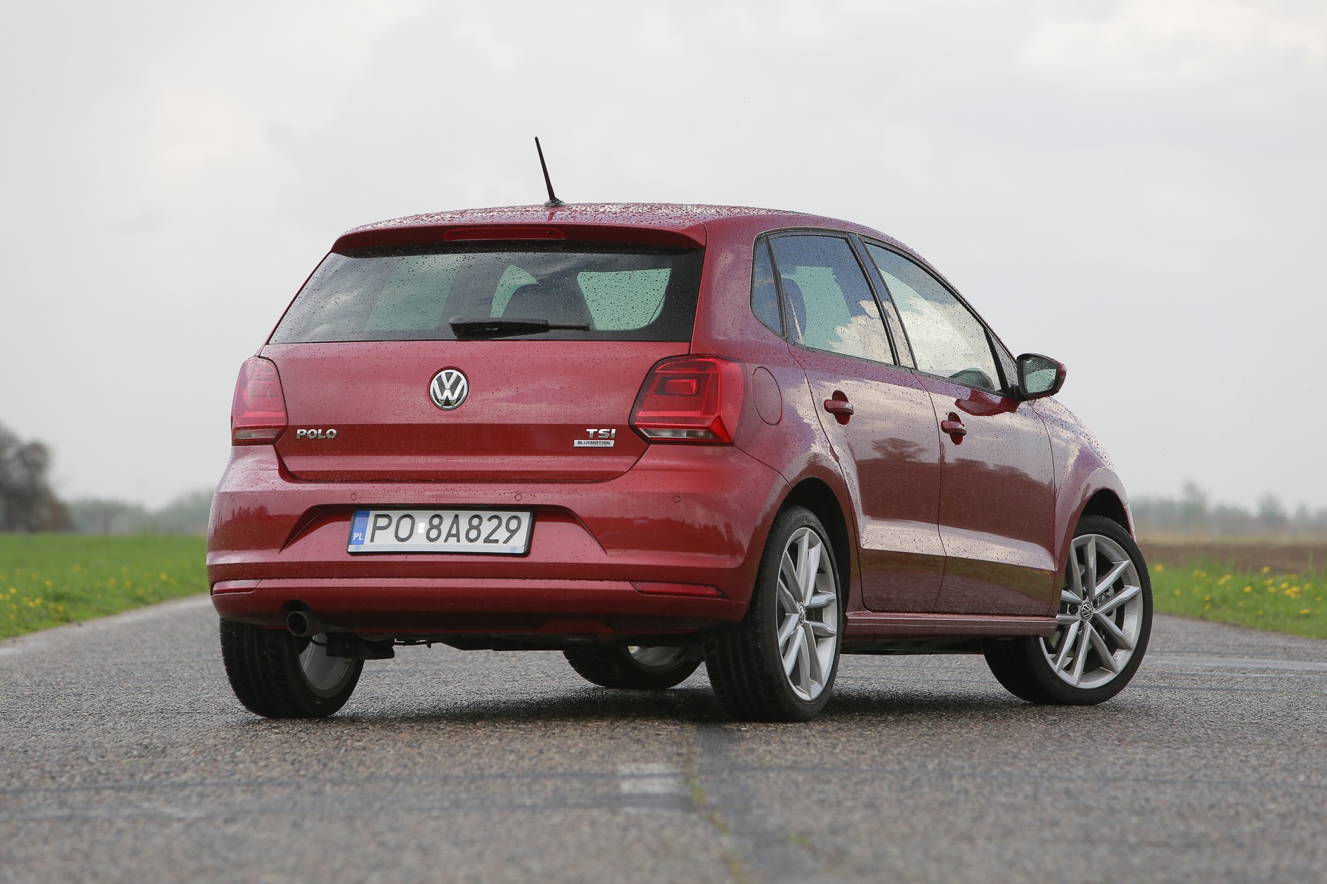 VW Polo