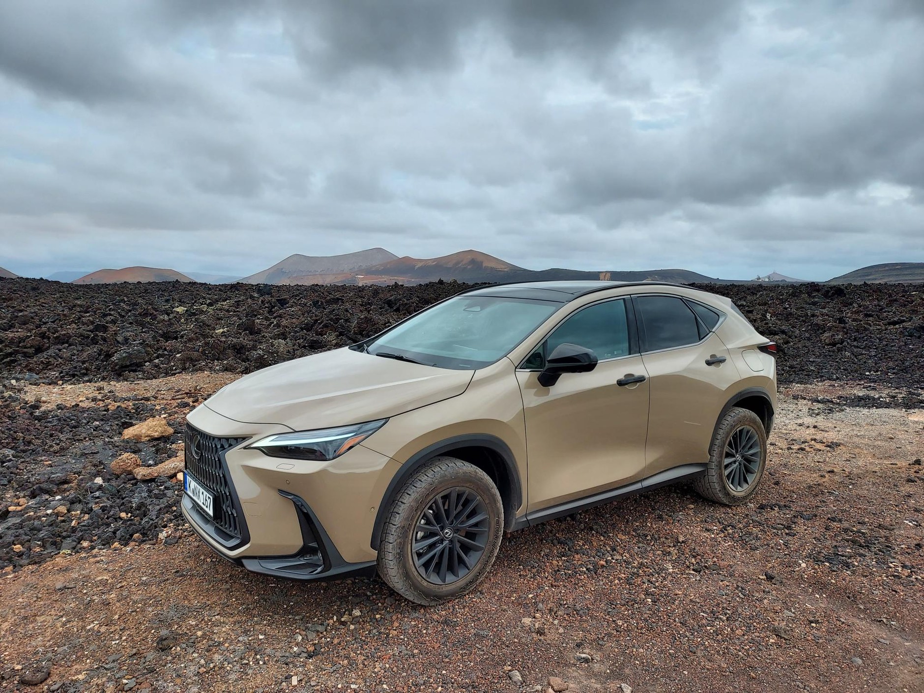 Lexus NX Overtrail