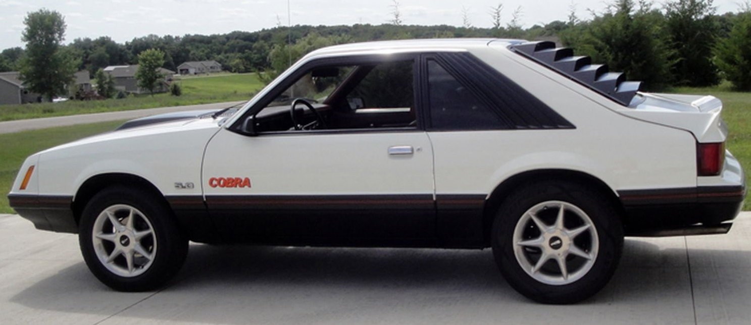 Mustang 1979 Cobra. Może i mały, ale zadziorny. Pod warunkiem, że miał solidny silnik pod maską. Niestety, wiele egzemplarzy miało silniki o mocy 80-100 KM.