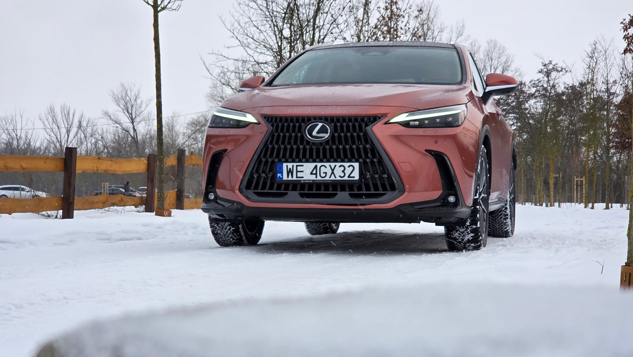 Lexus NX zakończył styczeń tego roku z wynikiem 541 rejestracji, dzięki czemu zajął 15. miejsce na liście najczęściej kupowanych samochodów w Polsce i drugie wśród marek premium (dane PZPM). Lepsze okazało się tylko Audi Q5, które wygrało o włos (cztery rejestracje więcej).