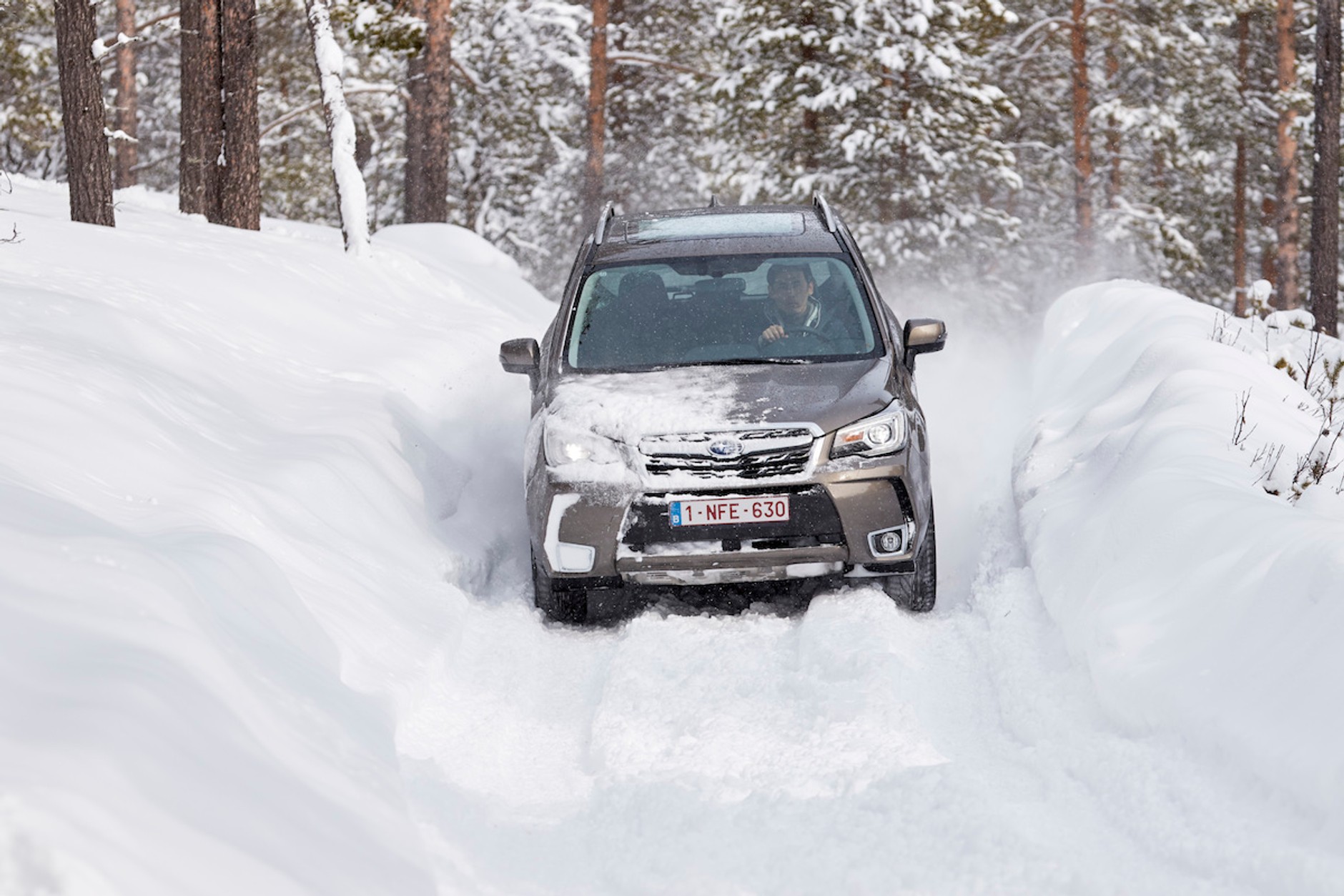 Subaru Snow Drive 2016
