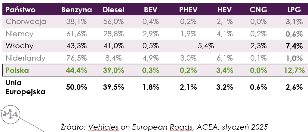 Rynek autogazu w Europie