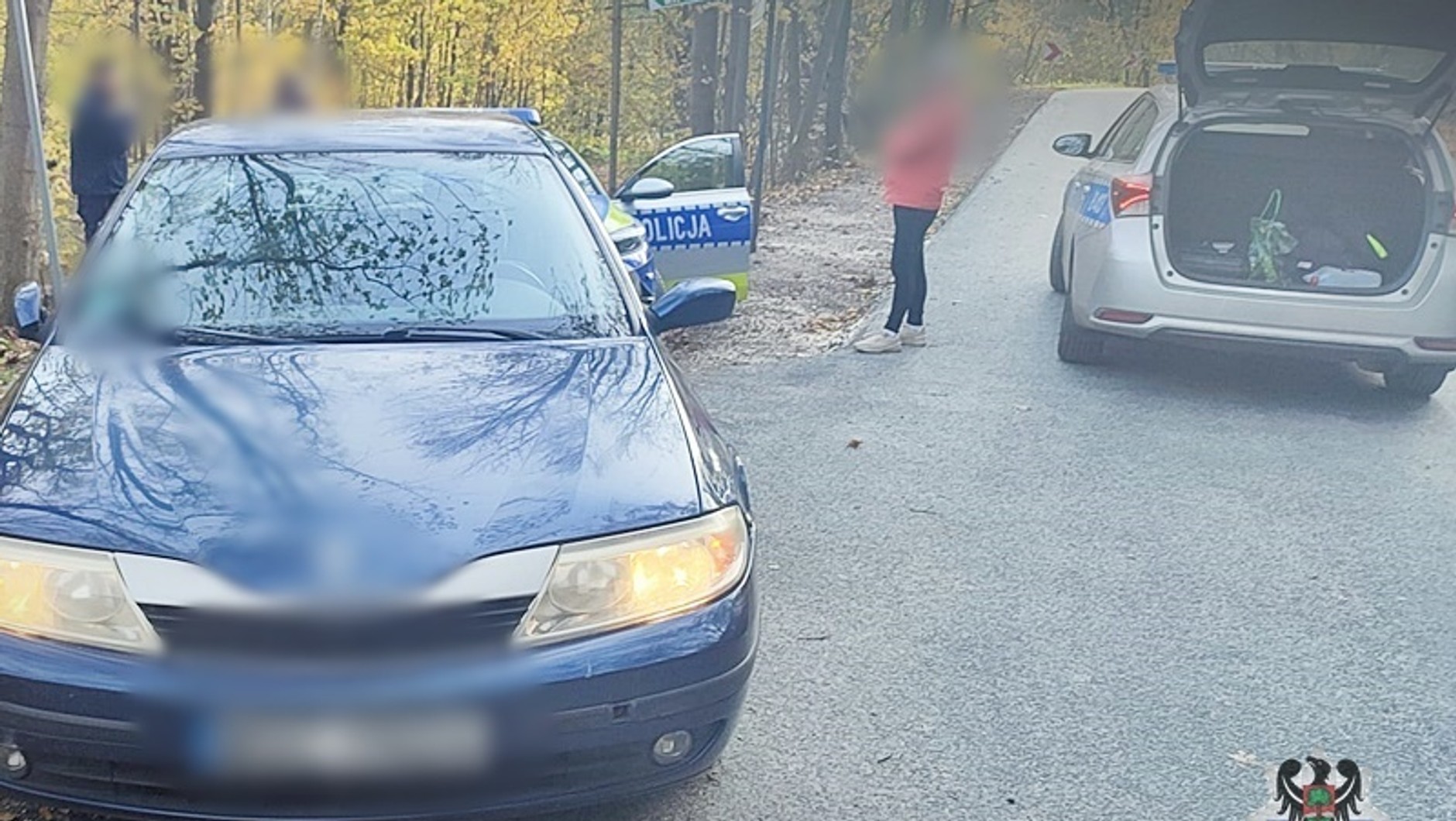 Źródło: walbrzych.policja.gov.pl/policja.pl