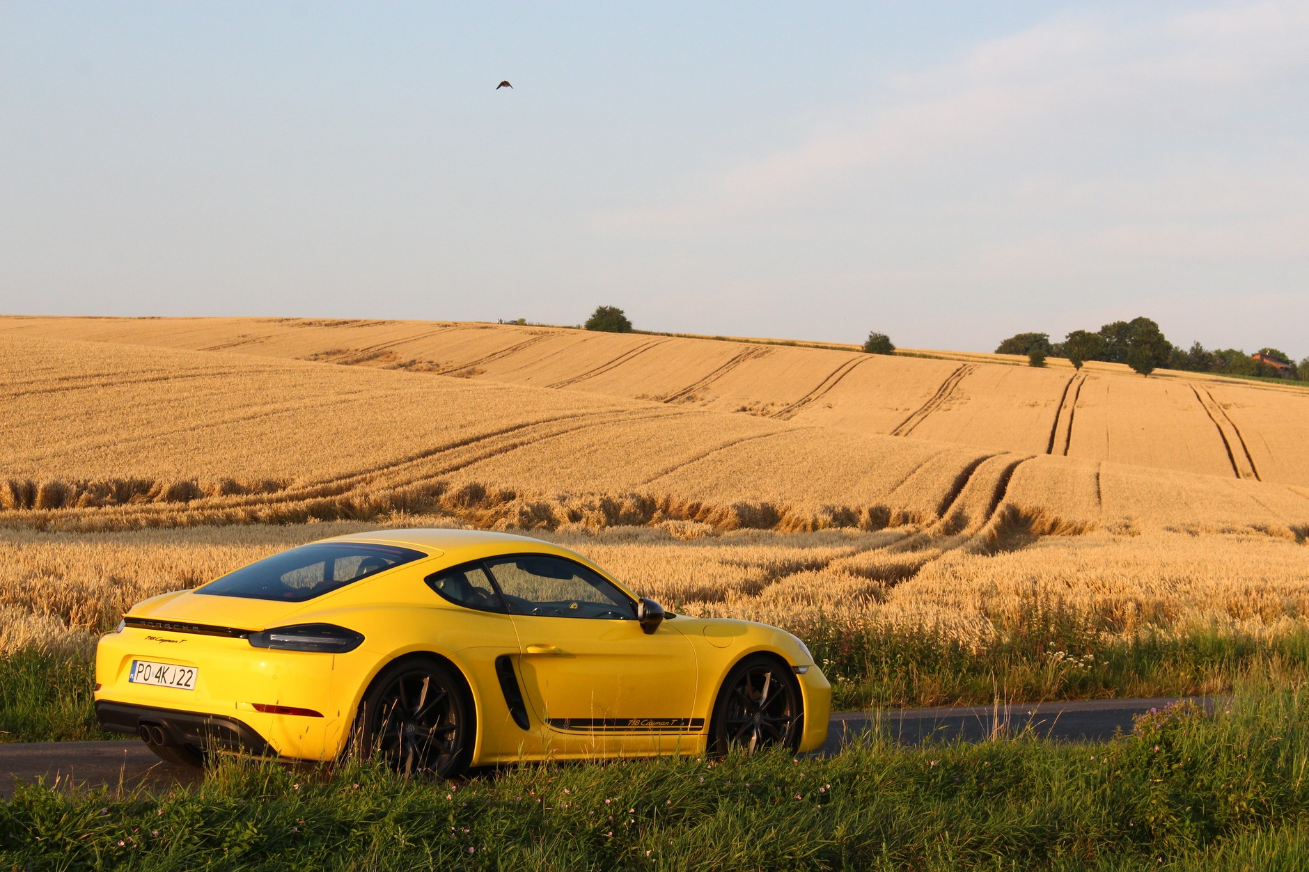 Porsche Cayman T