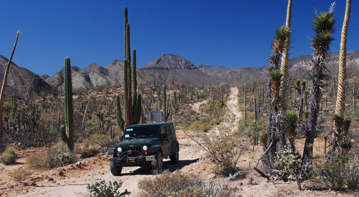 Jeepem Wranglerem przez północny Meksyk