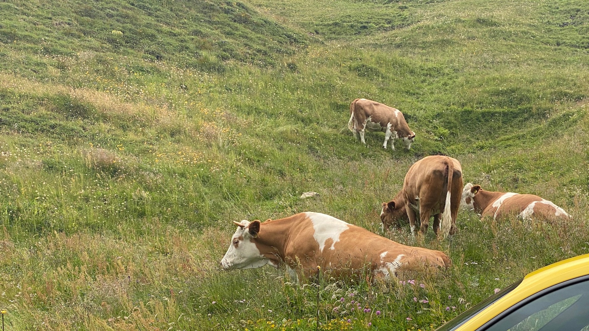 Porsche 718 Cayman T (982c) – podróż w Alpy