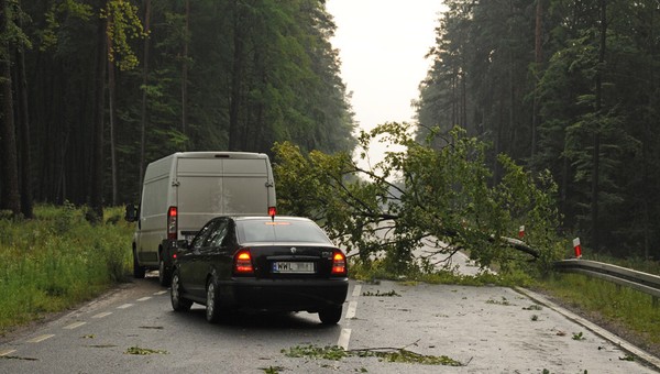 Kto zapłaci za szkody po wichurach?