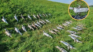 "Uprawiali" na polu katalizatory warte tysiące. Policja szuka "farmerów" [ZDJĘCIA]