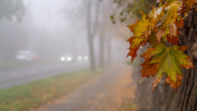 Bezpieczeństwo jesienią na drodze. Jak poprawić widoczność w aucie?