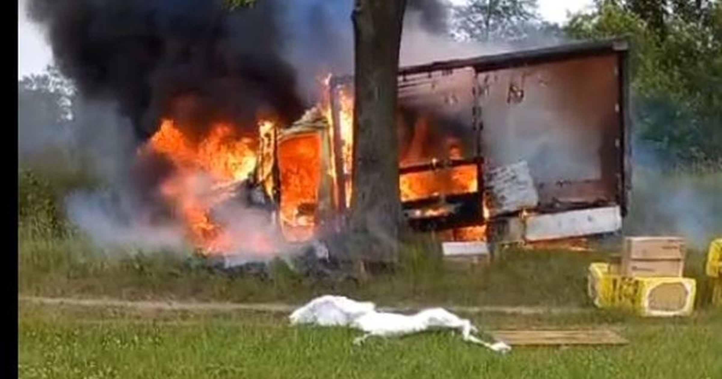 Obraz pochodzący z serwisu https://jelenia-gora.policja.gov.pl/dje/aktualnosci/bieza/122210,Policjant-wracajac-do-domu-po-sluzbie-zauwazyl-palacy-sie-samochod-natychmiast-r.html