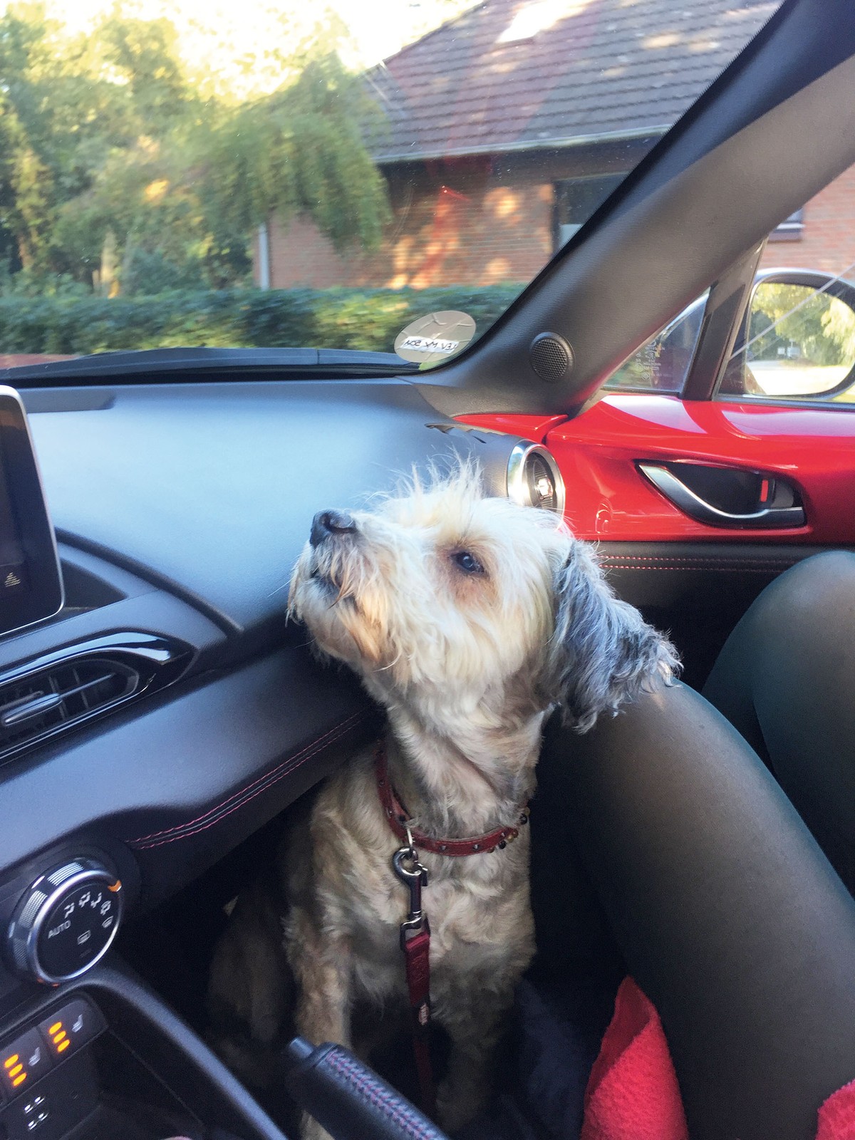 Niekończąca się przyjemność -  100 tys. km za kierownicą Mazdy MX-5