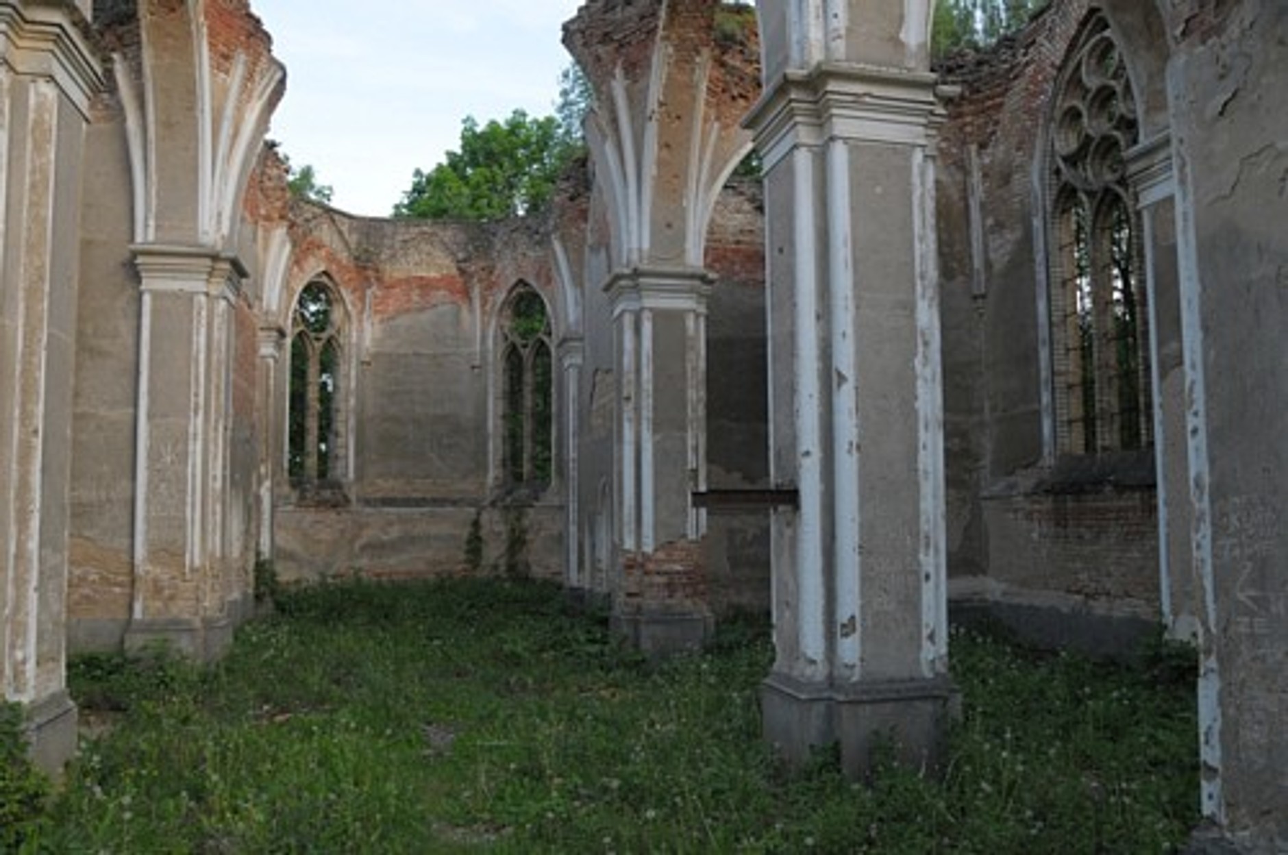 Skodą Yeti tropimy żubry