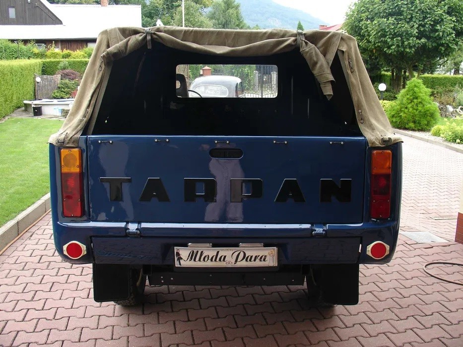 Tarpan z ogłoszenia na OLX-ie