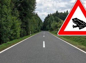 Znak z symbolem żaby przy niemieckich drogach. Czy wiesz, co oznacza?