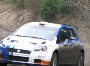 Rajd Turcji 2008: Sołowow i Baran po testowym, Peugeoty bezkonkurencyjne