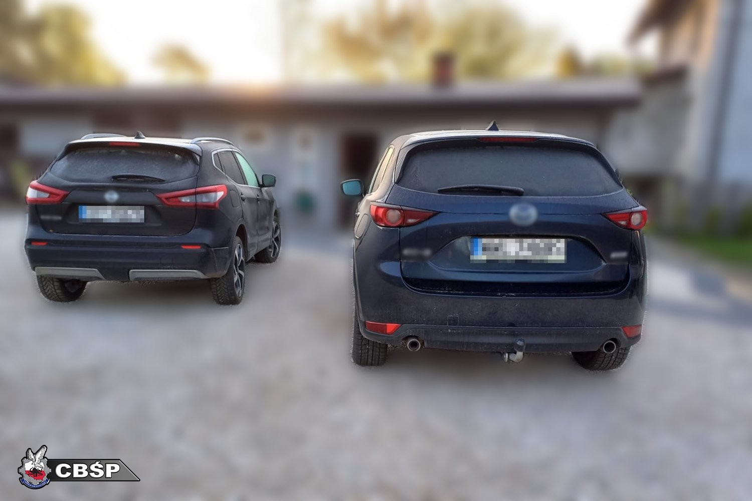 Policjanci rozbili gang złodziei samochodów