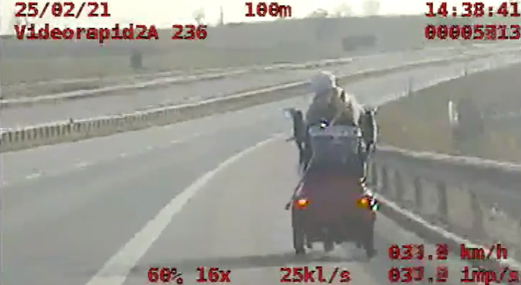 Jechała wózkiem inwalidzkim po drodze ekspresowej S5