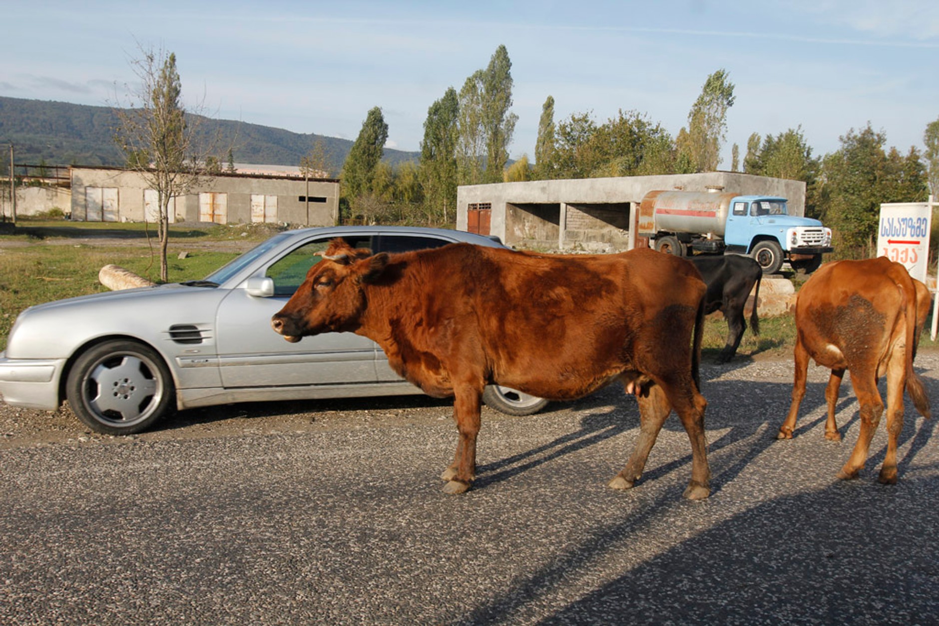 Auto Świat 4x4 Expedition: toast za Gruzję