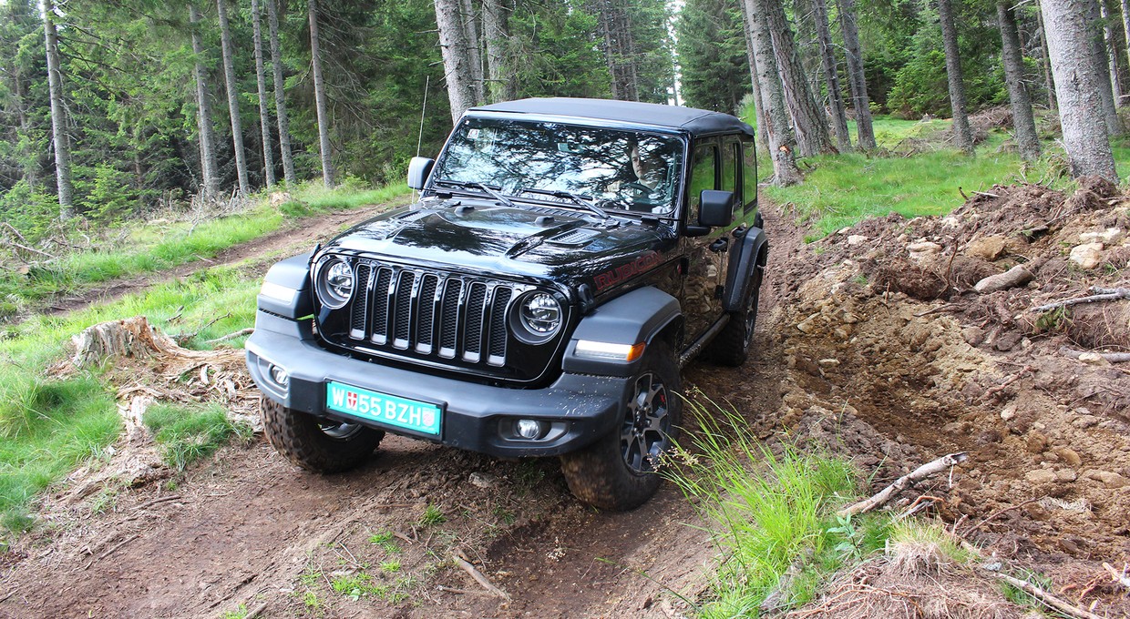Na offroad do lasu i to legalnie? Ruszyła ankieta Lasów Państwowych