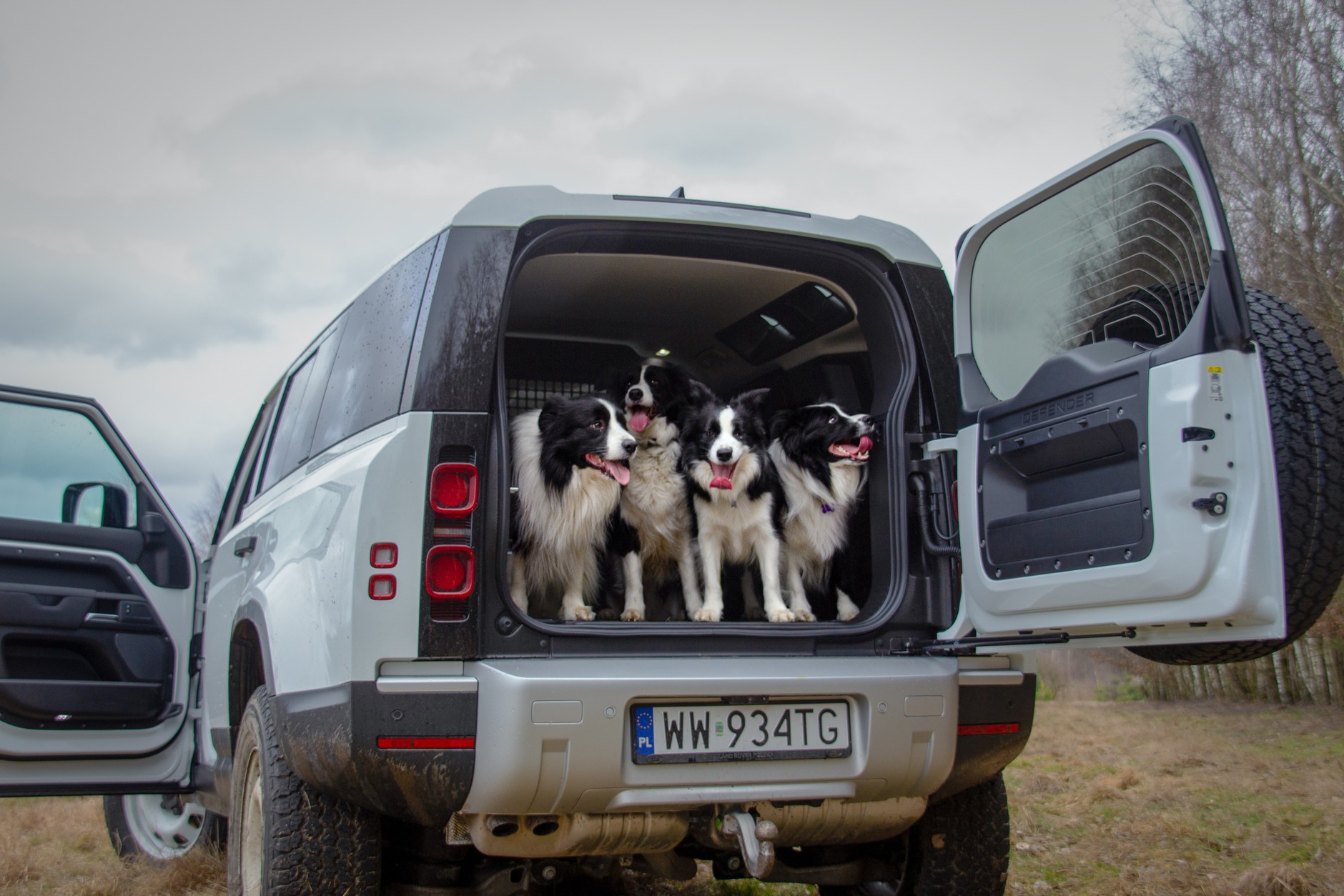 Land Rover Defender Hard Top