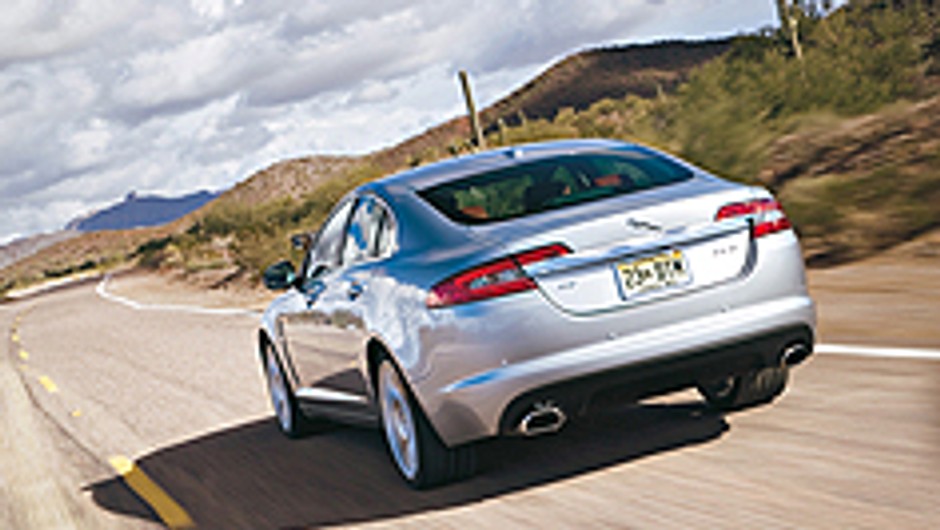 Jaguar XF - Jaguar ostrzy pazury