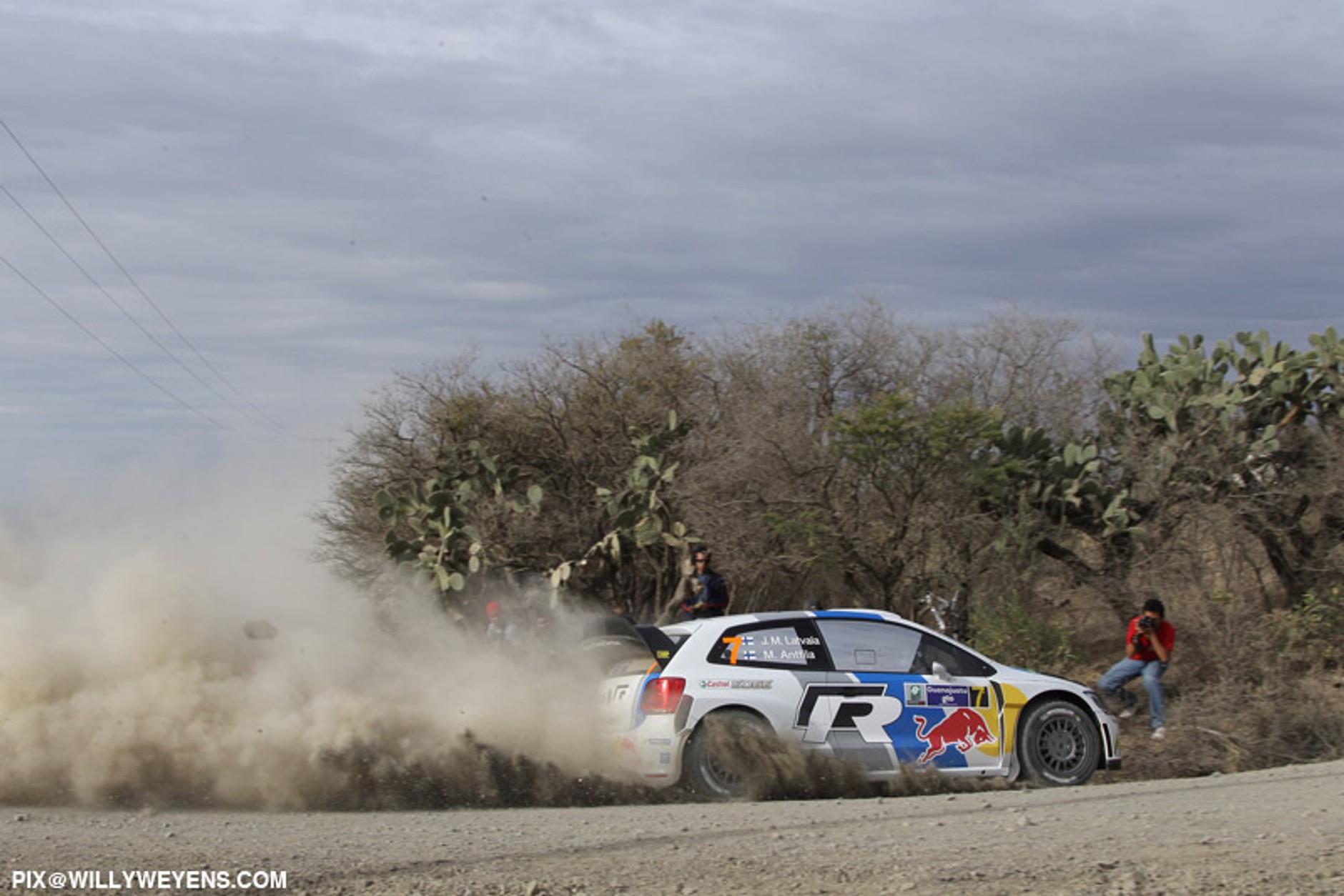 Rajd Meksyku 2013: złoty Ogier nie dał szans konkurentom