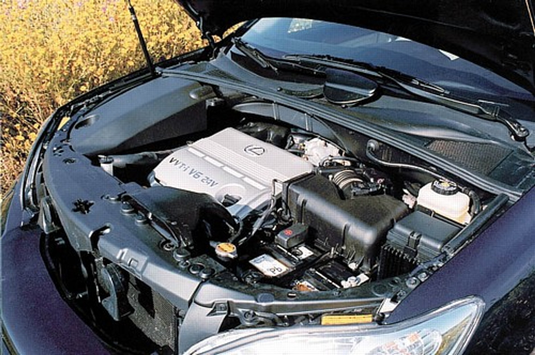 Aż szkoda jechać w teren