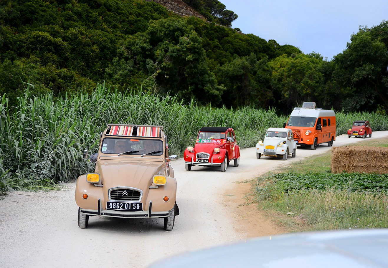 22. Citroën 2CV World Meeting