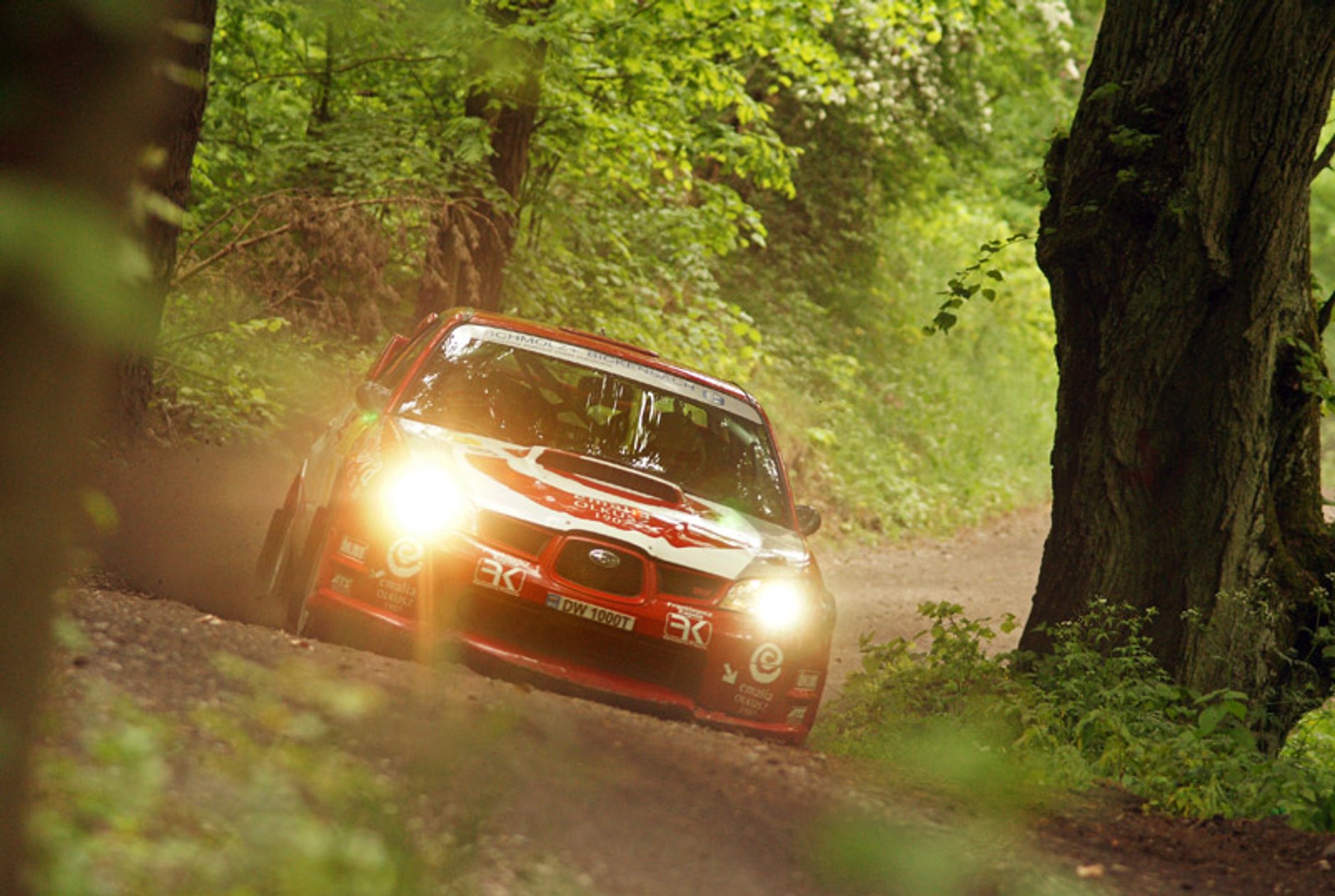 Rajd Agapit 2008: fotogaleria Dawida Konopki