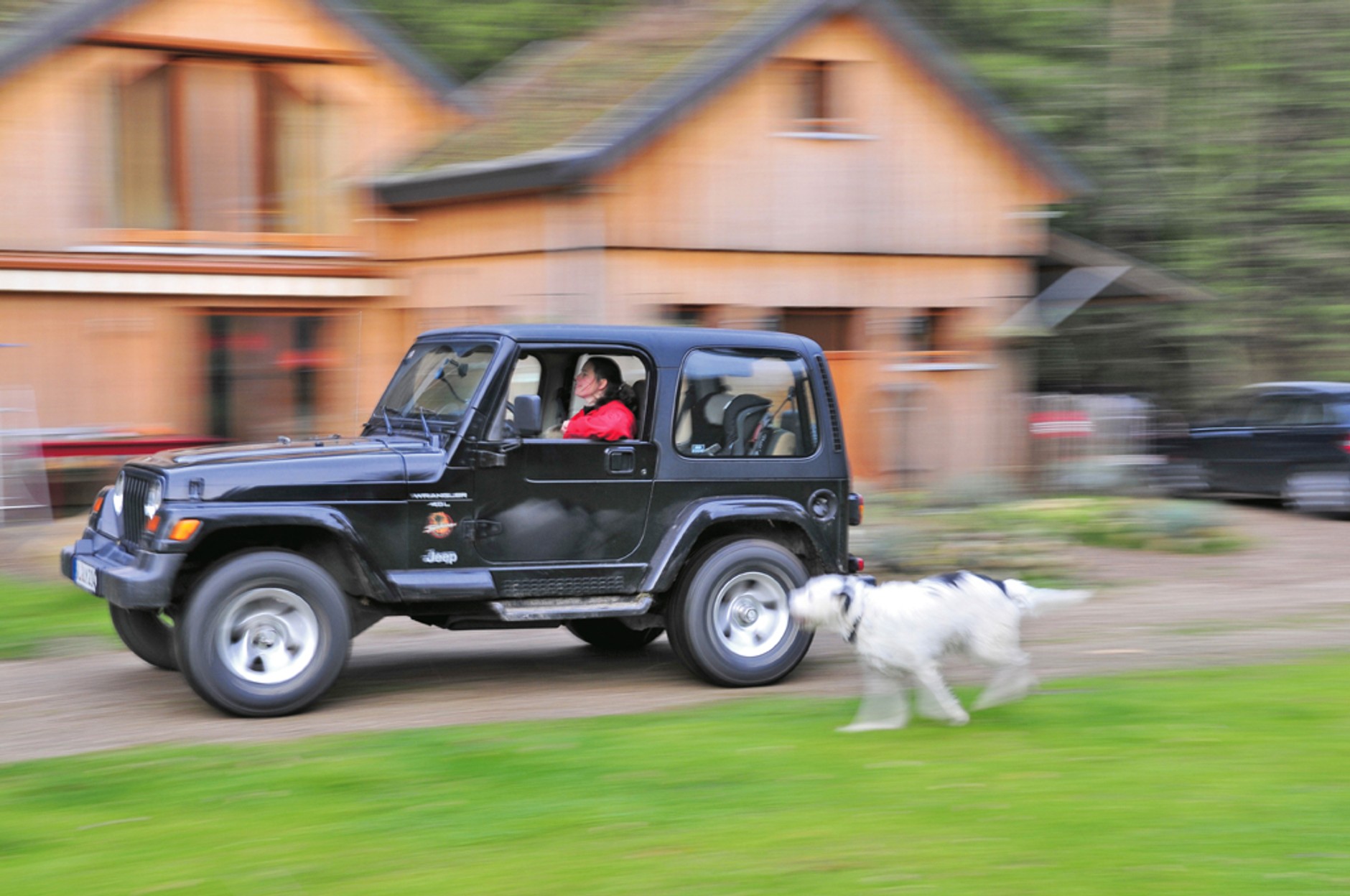 Masz psa - sprzedaj samochód. Czyli o "ekologii" słów kilka