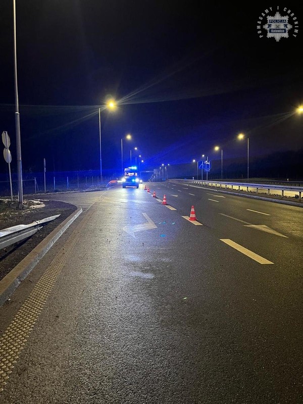 Źródło: katowice.policja.gov.pl/policja.pl