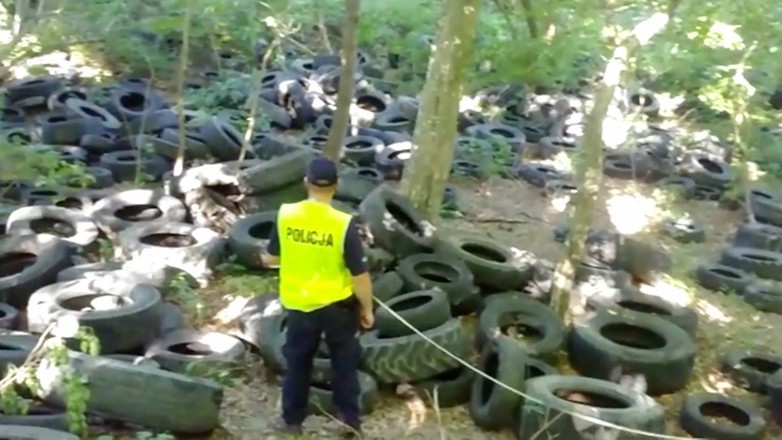 Nielegalne składowisko śmieci w lesie