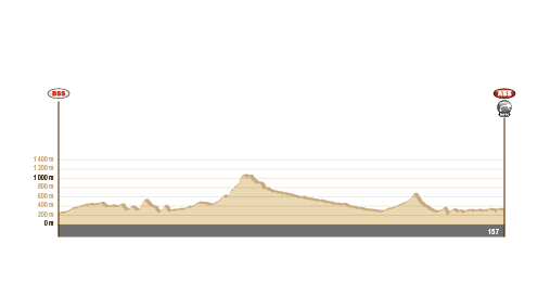 Rajd Dakar 2014: Peterhansel nie posłuchał szefa (12. etap, wyniki)