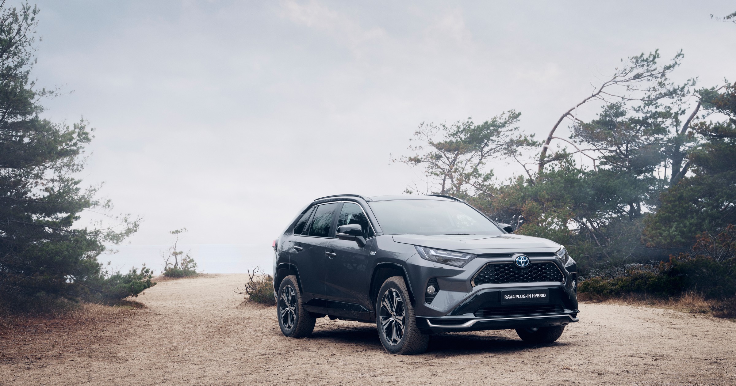 Toyota RAV4 Plug-in Hybrid