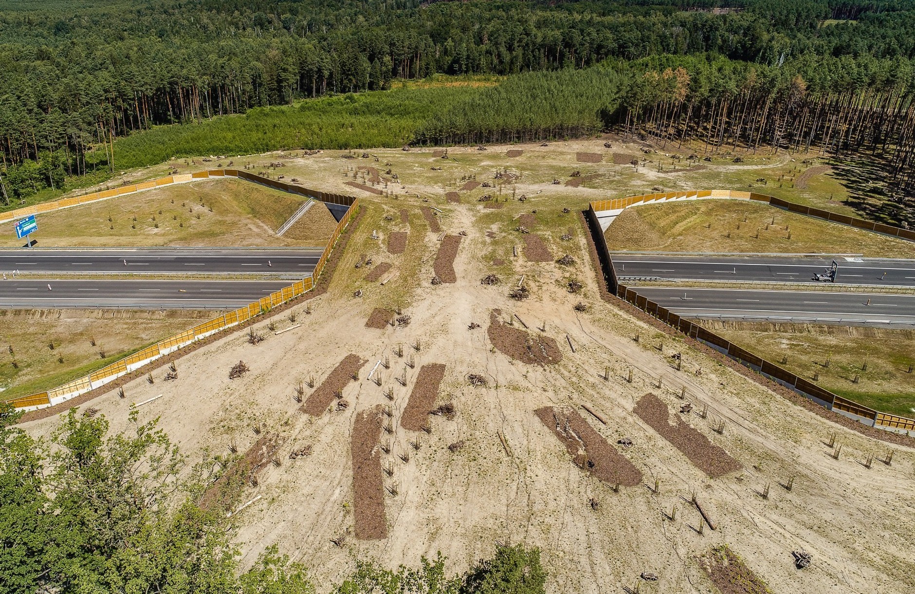 Autostrada A18 - duże przejście dla zwierząt