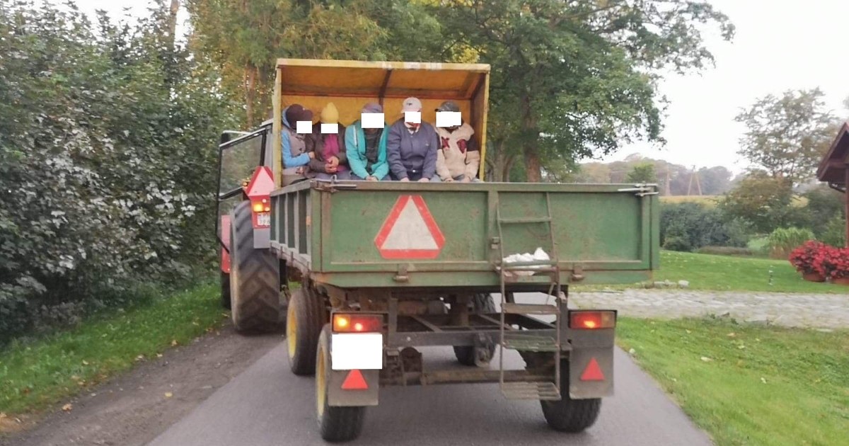Ciągnik przyczepa rolnik Wałcz 2020