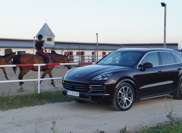 Porsche Cayenne – jak jeździ podstawowa wersja bestselleru niemieckiej marki? – TEST